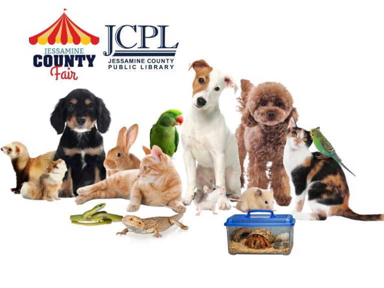 Pet Show